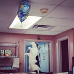 Robin Finney - @rkefinney - Instagram