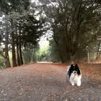 Robin Fiore - Facebook