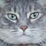 Robin Flaherty - @robes60 - Instagram