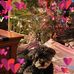 Robin Flaherty-Egger - Facebook