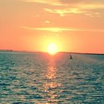 Robin Flint Freeman - @frobinf58 - Instagram