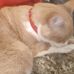 Robin Fransen - Facebook