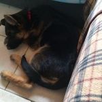 Robin Fransen - @robin.fransen.14 - Instagram