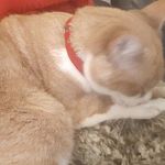 Robin Fransen - @robin.fransen.12 - Instagram