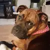 Robin Frey - @robin.frey3 - TikTok
