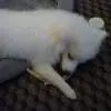 Robin Frey - @robin.frey1 - TikTok