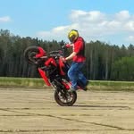 Roman Robiebashbary - @losko_cswg - Instagram