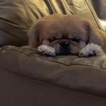 Robin Frye Richards - @robinfryerichards - Instagram