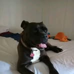 Robyn Fulks - Facebook