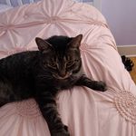 Robin Fullerton - @fullerton3855 - Instagram