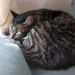 Robin Fullerton - @fullerton7364 - Instagram