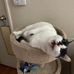 Robin Gaines - Facebook