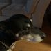 Robin Gajda - Facebook