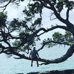 Robin Gann - @faillanegg - Instagram