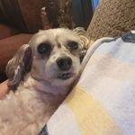 Robin Gann - @rggann1970 - Instagram