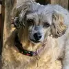 Robin Gann - @robin.gann4 - TikTok