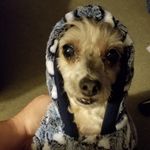 Robin Gann - @gann6616 - Instagram
