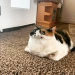 Robin Gebhardt - @robin_g04 - Instagram