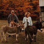 Robin Gebhardt - @robin.gebhardt.12 - Instagram