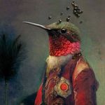 Robin Gerrard - @b00m0p - Instagram
