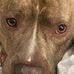 Robin Getz - Facebook