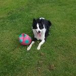 Robin Gilmer Brewer - @mygrandma080808 - Instagram