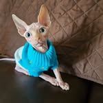Robin Gilstrap - @gilstraprobin052 - Instagram