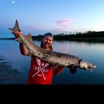 Robin Ginter - @gusbus51 - Instagram