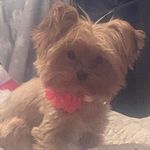 Robin Gleason Silver - @rbnsilver - Instagram