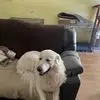 Robin A Goddard - @robin.a.goddard - TikTok