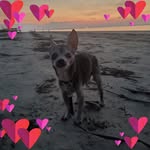Robin Godfrey - @robin.godfrey - Instagram