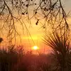Robin Godfrey - @robingodfrey1 - TikTok