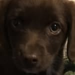 Robin Goodall - @annasyourboo21 - Instagram