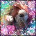 Robyn Richardson Goodell - Facebook