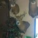 Robin Goslin - Facebook
