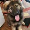 Robin Britton Gosnell - @robin.britton.gos - TikTok