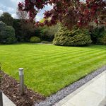 Robin grass cutting company - @robin_grass_cutting_servies - Instagram