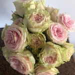 Robin Griggs - @philanthropyfarm - Instagram