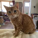 Robin Grimes - @robbysreadingroom - Instagram