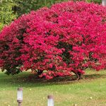 Robin Griswold - @robinjohn3559 - Instagram