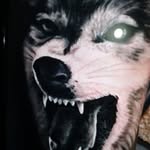 Robin Guardians - @robinguardians - Instagram