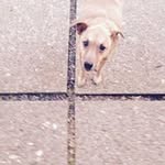 Robin Guinn - @robinguinn - Instagram