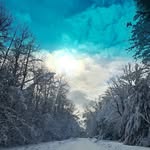 Robin Haag - @haagrobin - Instagram