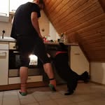 Robin Haag - @rob_rob_xd - Instagram
