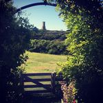 Robin Hadlock Seeley - @shoalsarch - Instagram