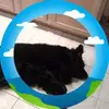 Robin Hahn - @robin.hahn - TikTok
