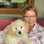 Robin Hahn Bupp - @robinhahnbupp - Instagram