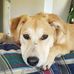 Robin Haislip - Facebook