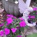 Robin Haislip Farmer - Facebook