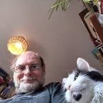 Robin Hall - @robins_art_and_cats - Instagram